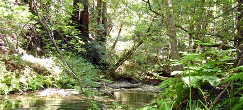 cal poly environmental management and protection